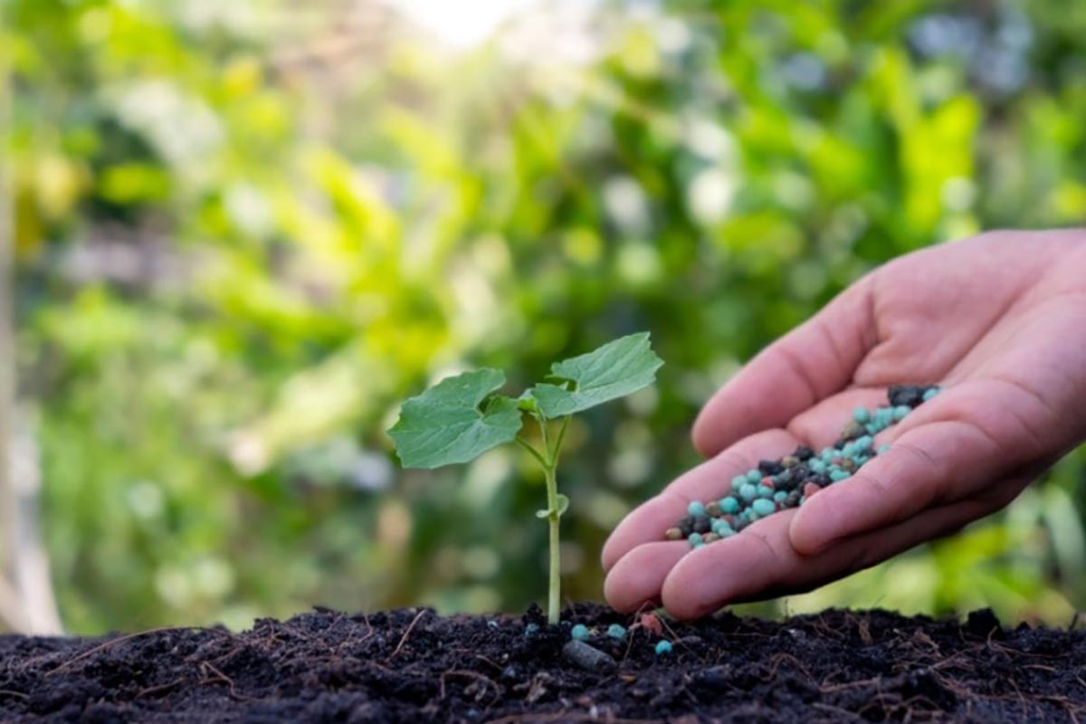 vendita-prodotti-organici-per-agricoltura-min
